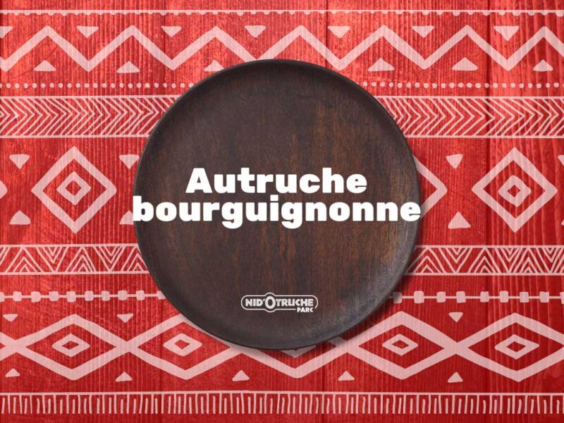Autruche bourguignonne