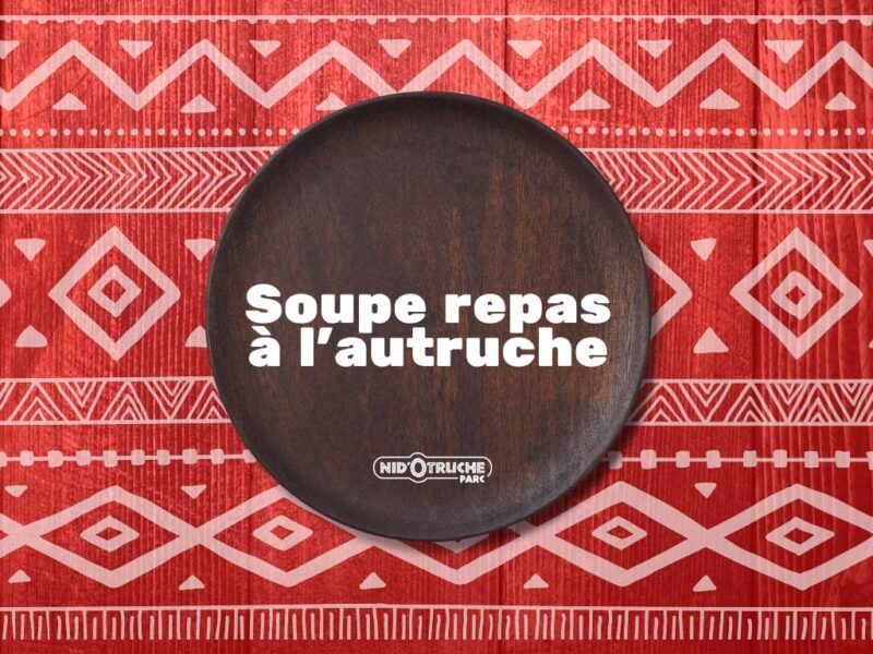Soupe repas à l’autruche
